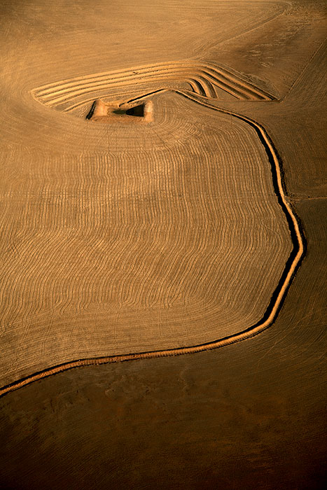 Richard Woldendorp / Wheatfield